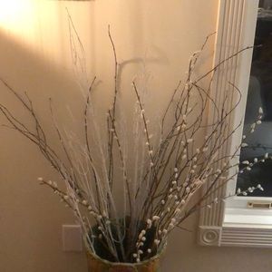 Meet your Posher, Larae